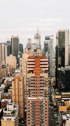 seo常用工具优化截图4