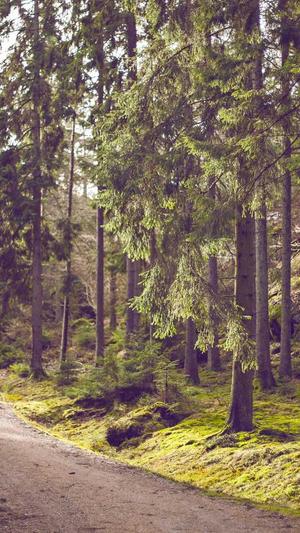 无锡优化seo推广工具截图2