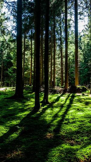 优秀网站建设截图2