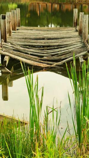 宿迁网站建设截图4