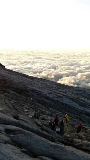 seo专用工具截图3