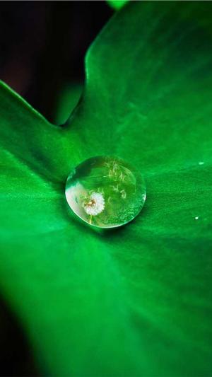 蜘蛛池租出去安全么截图1