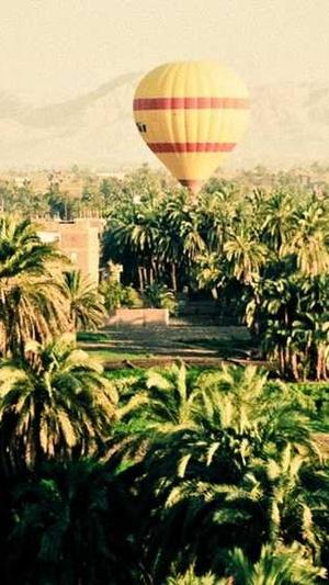 什么蜘蛛池比较好养截图4