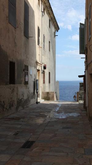 郑州网站seo优化工具截图3