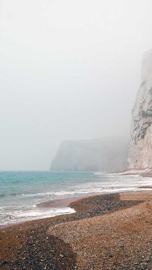 天道蜘蛛池4.2源码截图1