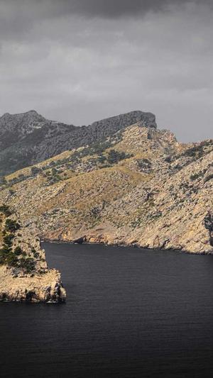 上海seo优化工具截图1