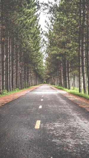 惠州seo博客截图4