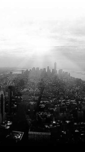 超级蜘蛛池是骗子截图4