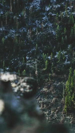 黑侠蜘蛛池搭建教程截图1