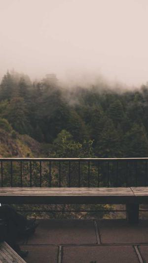 seo网页优化截图2