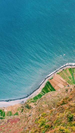 蜘蛛池技术代码截图2