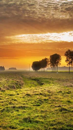 站群和蜘蛛池原理截图1