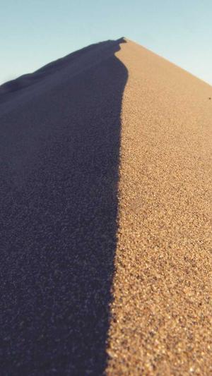 青海蜘蛛池租用哪个好截图4