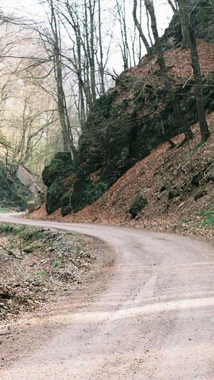 免费建设网站那个好截图3