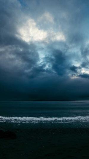 寄生虫不要蜘蛛池截图1