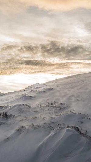 泛目录的作用截图1