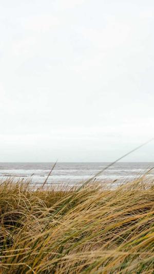 公众号能用seo外链工具截图4