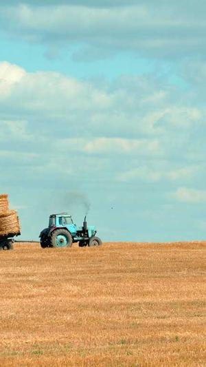 泛目录程序阿华截图2