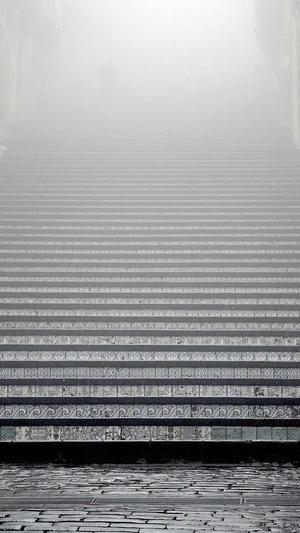 常用的seo查询工具截图3