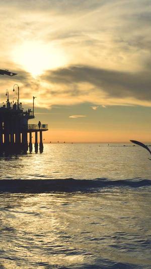 深圳建设网站制作截图3