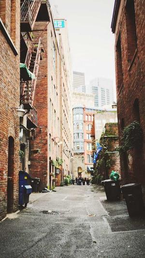 seo标题优化工具截图3