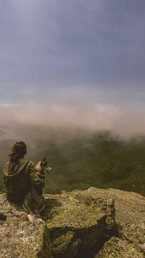 谷歌seo优化工具截图5