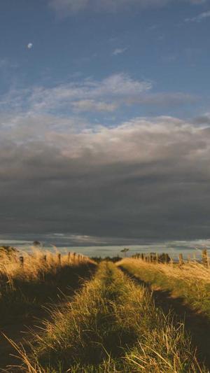 seo必备工具有哪些截图3