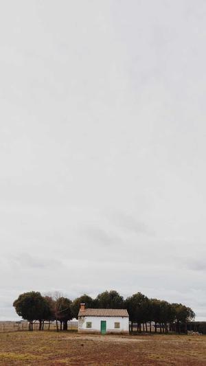 蜘蛛池代理截图4