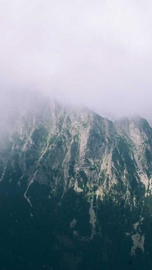 蜘蛛池多少钱一个截图1