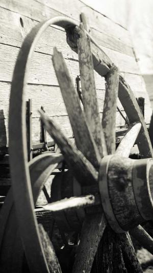 阳江网站建设公司截图2