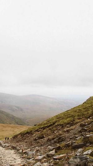 泛目录是什么关键词截图1