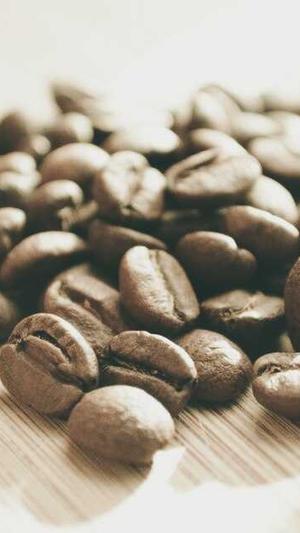 优化工具能带来seo吗截图1