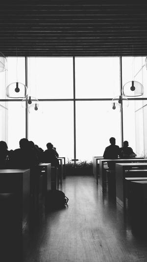 超级蜘蛛池是骗子截图2