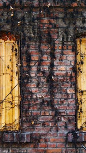 泛目录程序阿华截图1