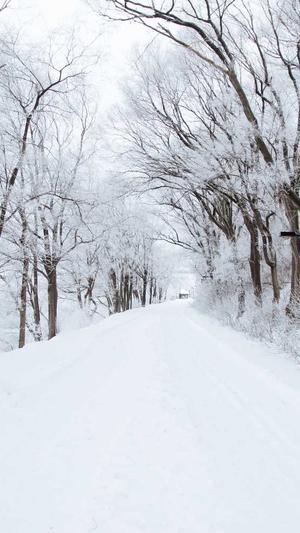 外蜘蛛池的作用截图4