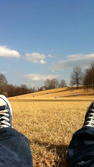 无锡优化seo推广工具截图1