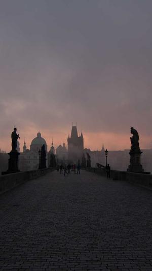 网站建设公司介绍截图2