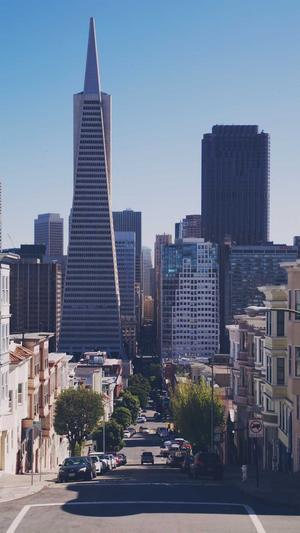 seo自动推广截图3