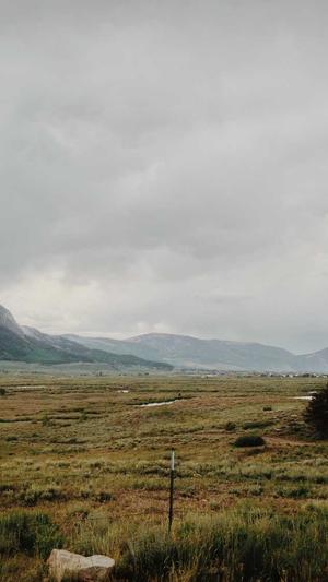 站长工具seo推广 站长工具查询截图4