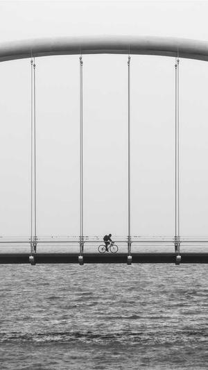 重庆排名seo优化服务截图1