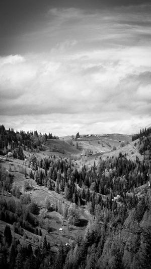 怀柔网站建设截图3