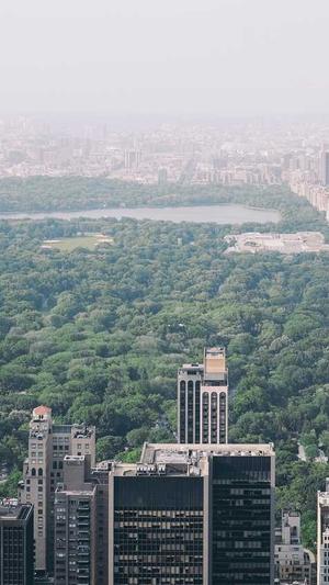 蜘蛛矿池无法注册截图1