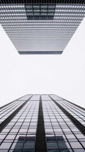 石家庄网站建设截图3