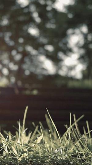 蜘蛛池出租价格合理截图2