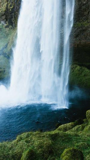 seo查询工具介绍截图4