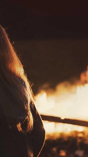 蜘蛛池哪家好用截图2