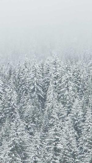 千战云蜘蛛池截图2