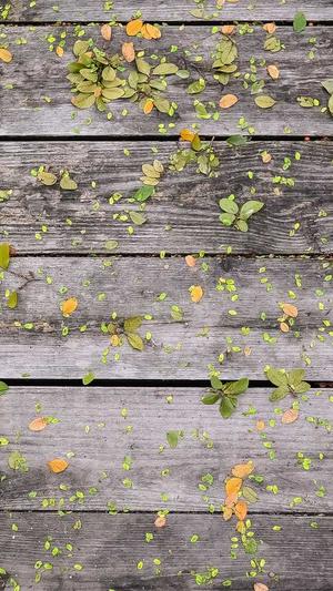 seo优化常用工具截图4