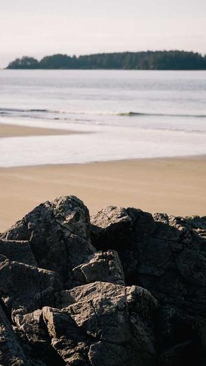 抖音seo关键词工具截图3