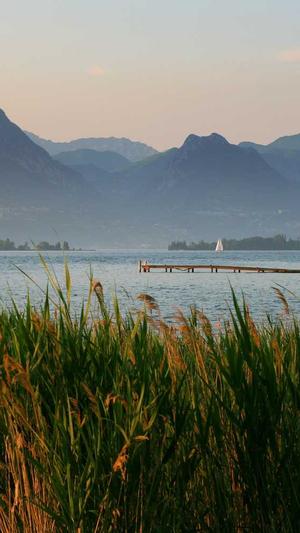 小强泛目录站群破解版截图1